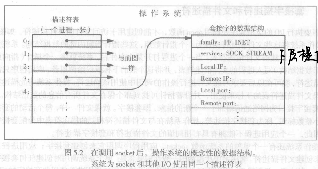 套接字数据结构